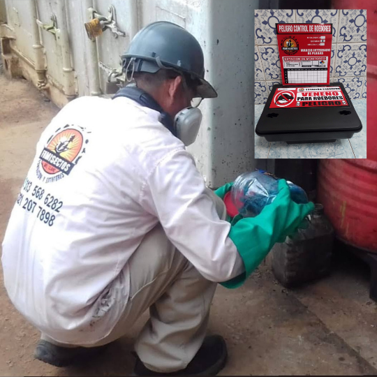 Control de roedores y ratas en Villavicencio