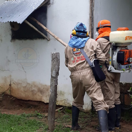 Control de plagas en Villavicencio